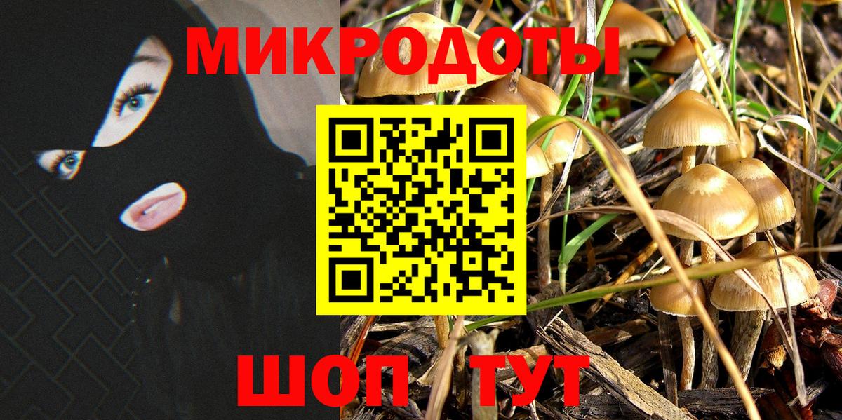 Черняховск  Галлюциногенные грибы Cubensis  Вход с VPN 