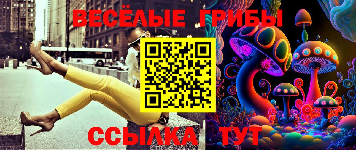 Псилоцибиновые грибы GOLDEN TEACHER Черняховск